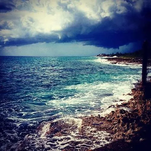 Jackies On The Reef Hotel Negril